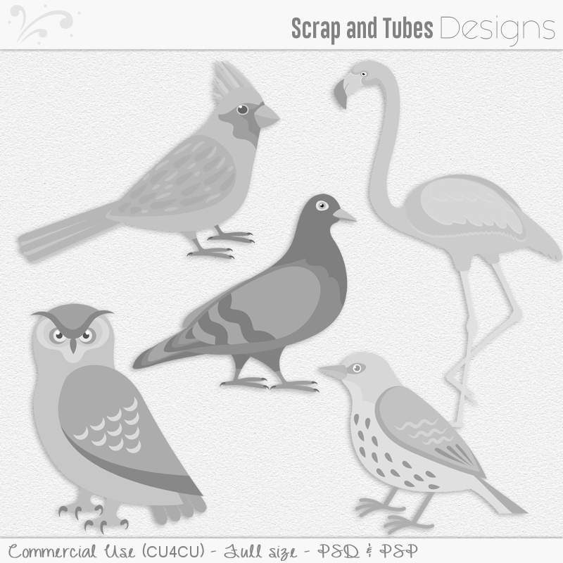 Bird Templates - Click Image to Close